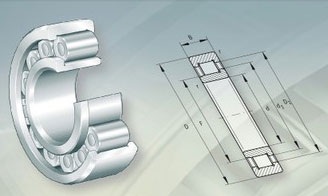 INA圆柱滚子轴承
